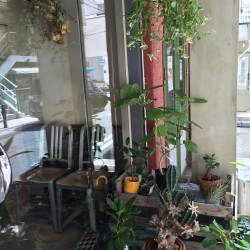 お庭がキレイです♪♪